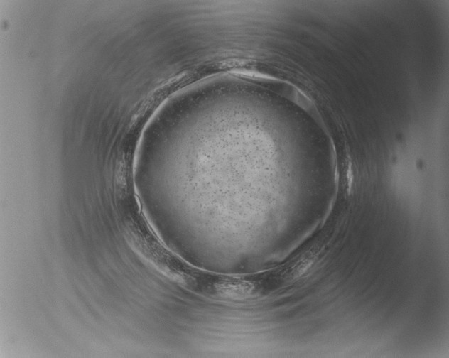 X0000051860215200507081831