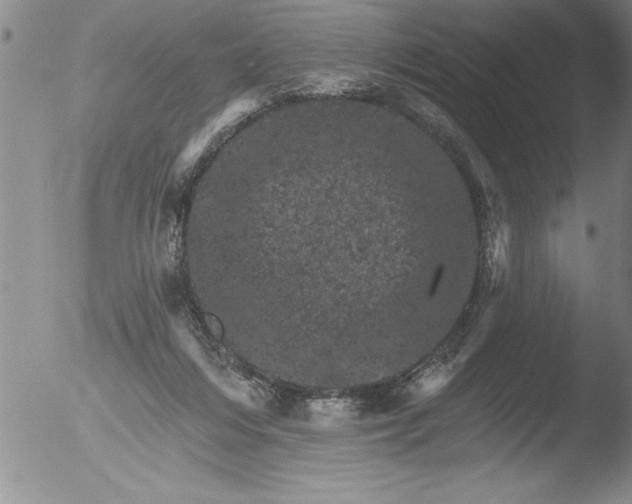 X0000051860216200507081831