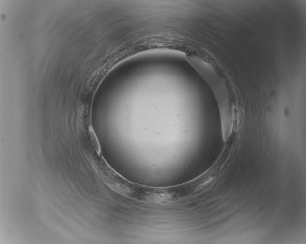 X0000051860217200507081831