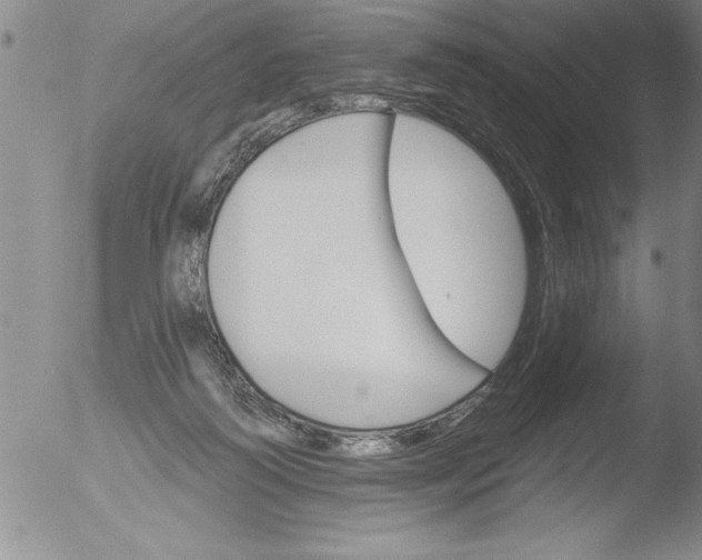 X0000051860218200507081831