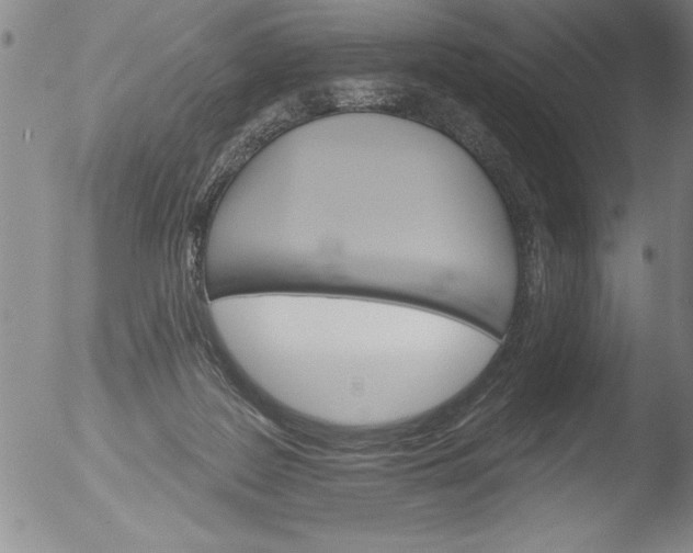 X0000051860219200507081831