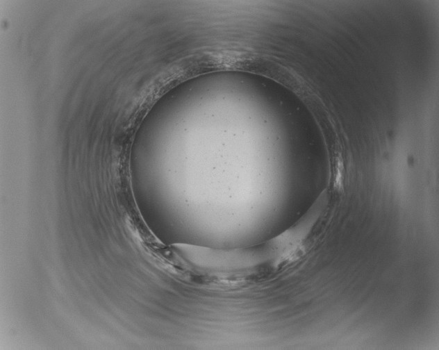 X0000051860221200507081831