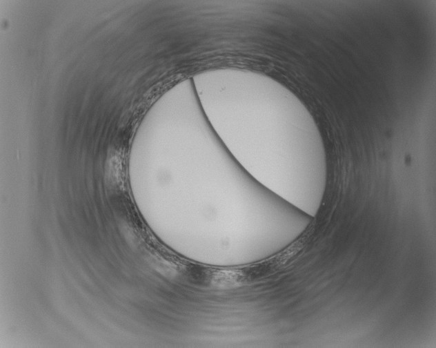 X0000051860222200507081831