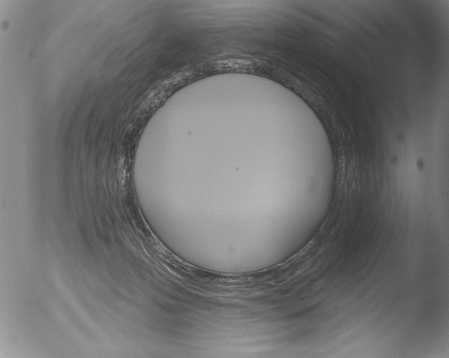 X0000051860223200507081831