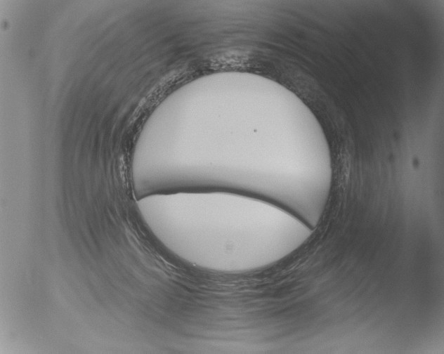 X0000051860224200507081831