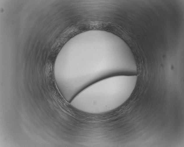 X0000051860225200507081831