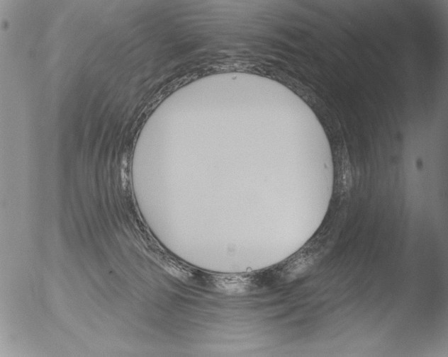 X0000051860226200507081831