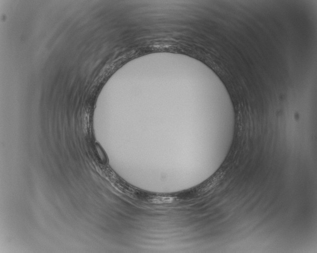 X0000051860227200507081831