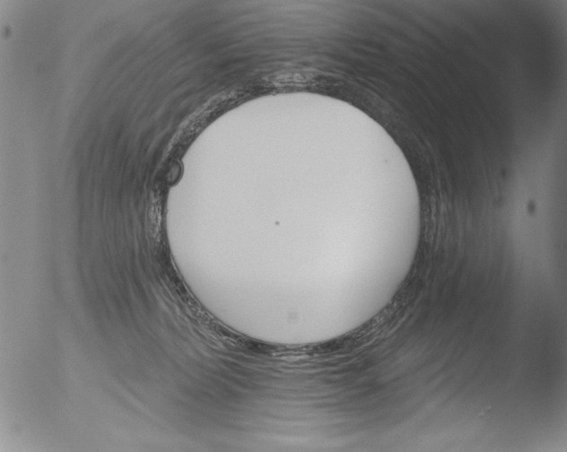 X0000051860228200507081831