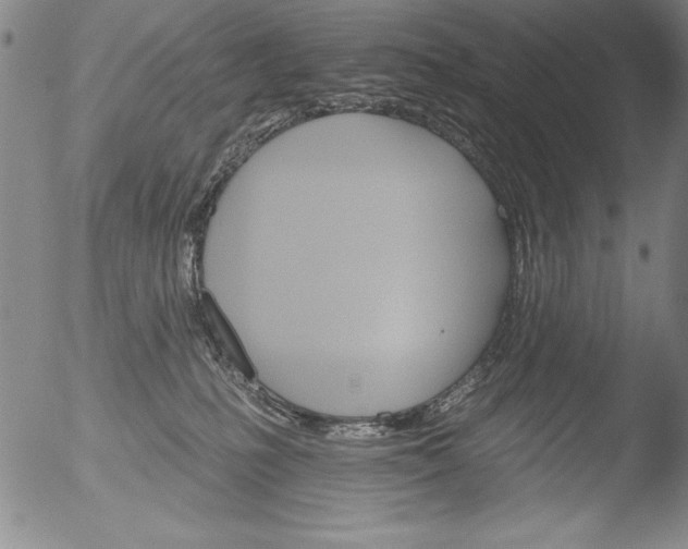 X0000051860231200507081830