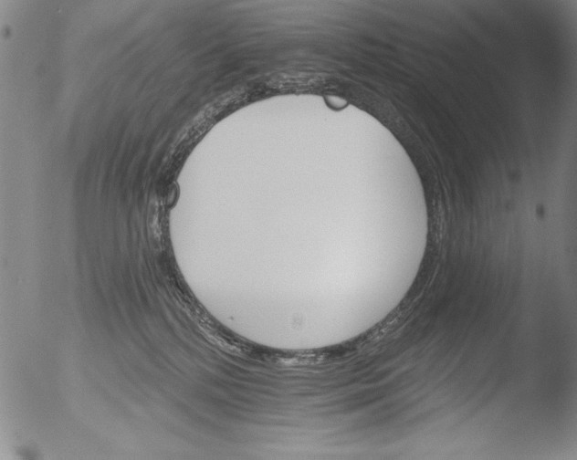 X0000051860232200507081830