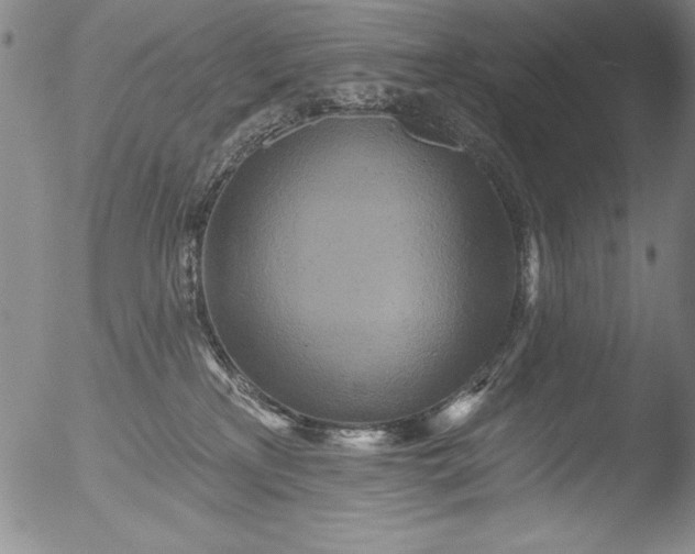 X0000051860233200507081830