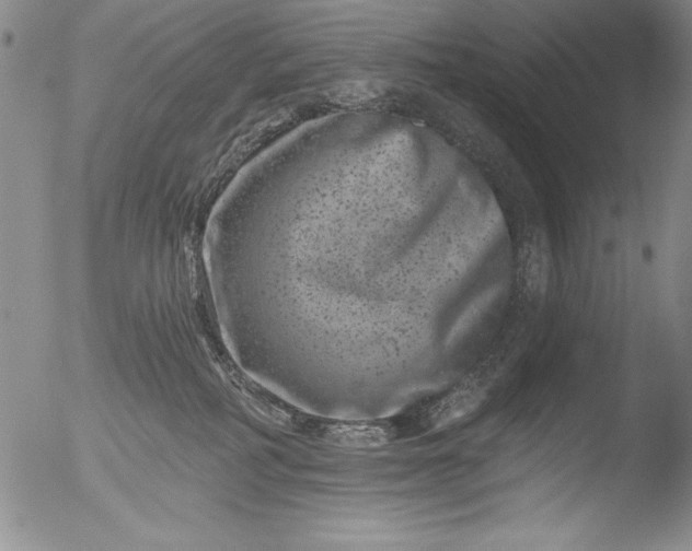 X0000051860234200507081830