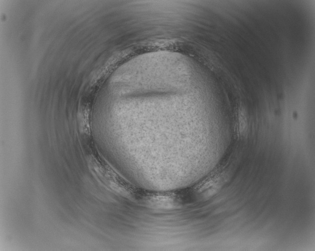 X0000051860236200507081830