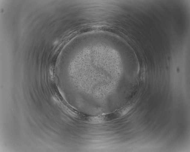 X0000051860238200507081830