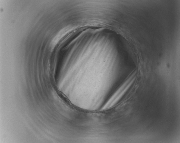 X0000051860242200507081830