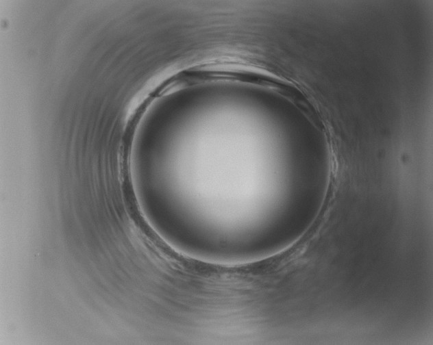 X0000051860244200507081830