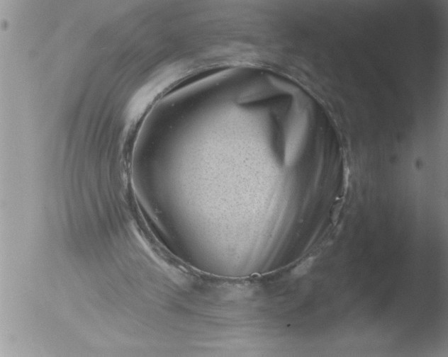 X0000051860245200507081830