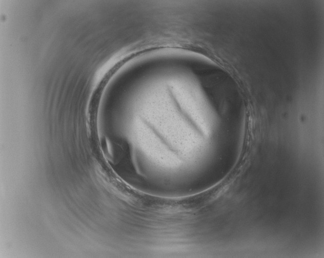 X0000051860246200507081830