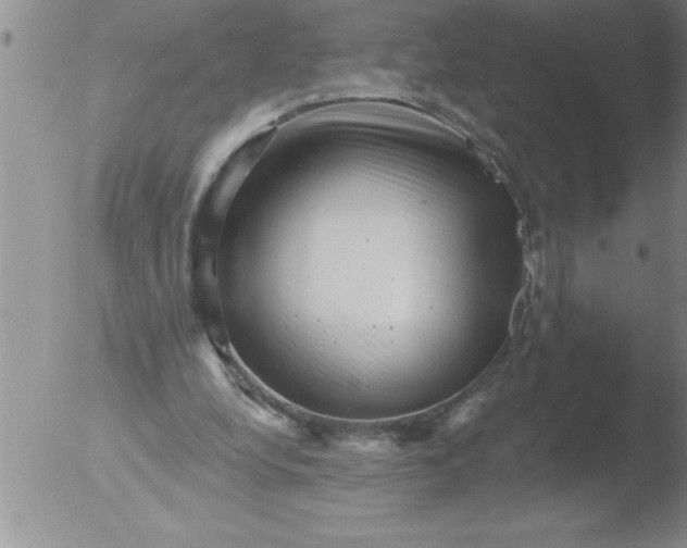 X0000051860248200507081830