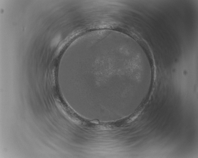 X0000051860250200507081830