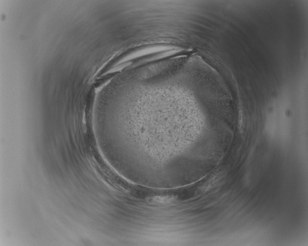 X0000051860251200507081830