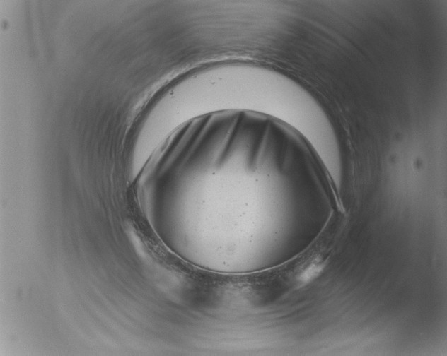 X0000051860252200507081830