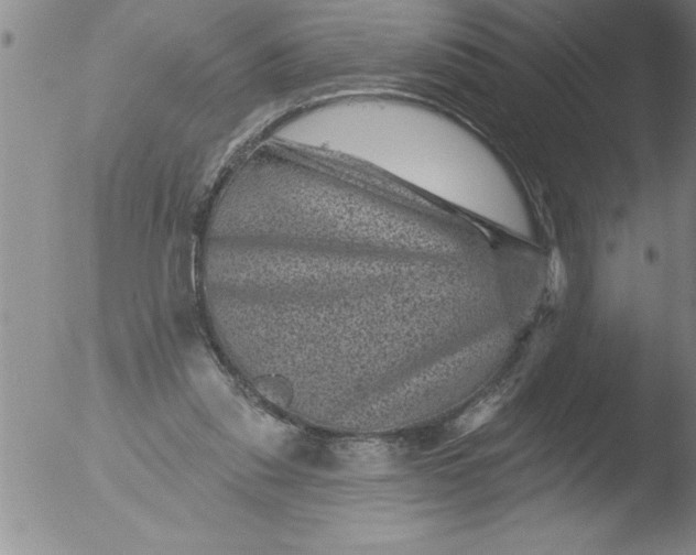 X0000051860253200507081830