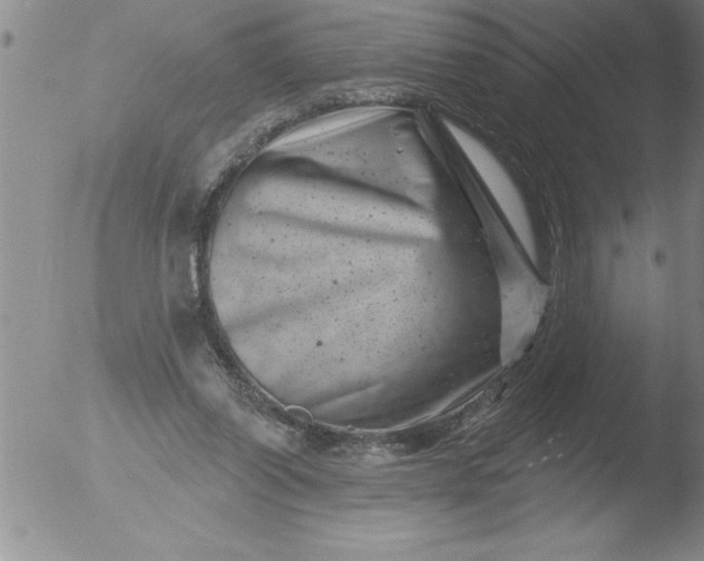 X0000051860254200507081830