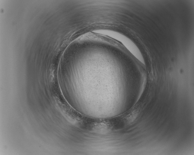 X0000051860259200507081830