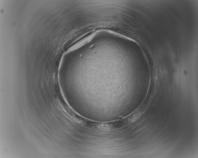 X0000051860261200507081830