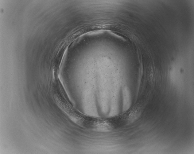 X0000051860262200507081830