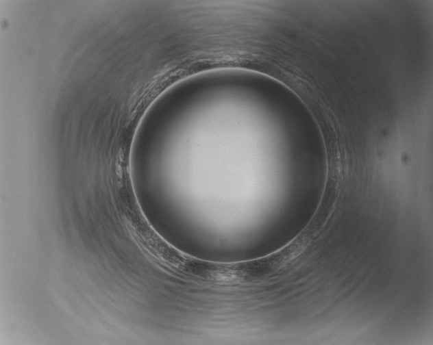 X0000051860264200507081830