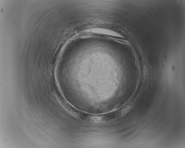 X0000051860265200507081830