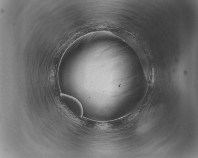 X0000051860269200507081830