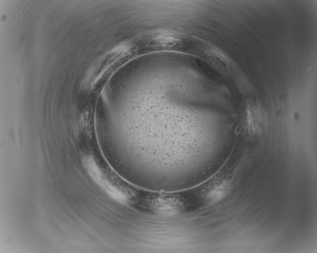 X0000051860270200507081830