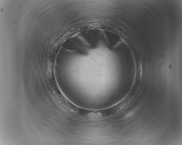 X0000051860271200507081830