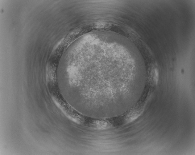 X0000051860272200507081830