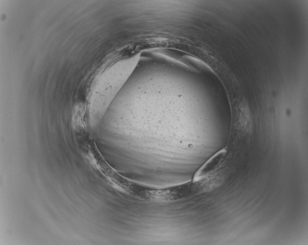 X0000051860273200507081830