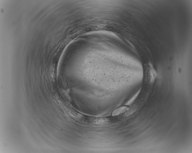 X0000051860274200507081830