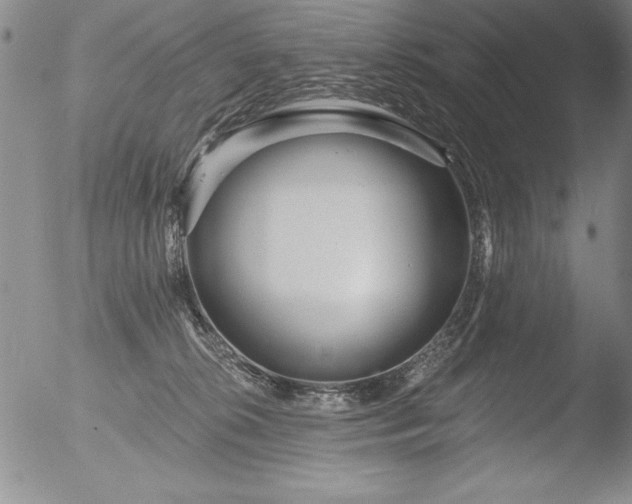 X0000051860276200507081830