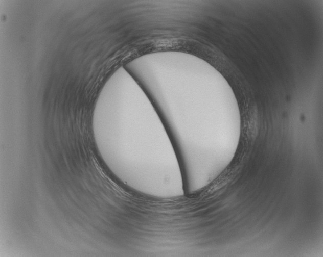 X0000051860277200507081830