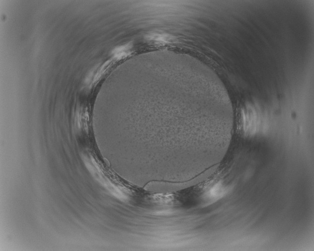 X0000051860279200507081830