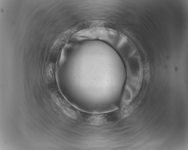 X0000051860280200507081830