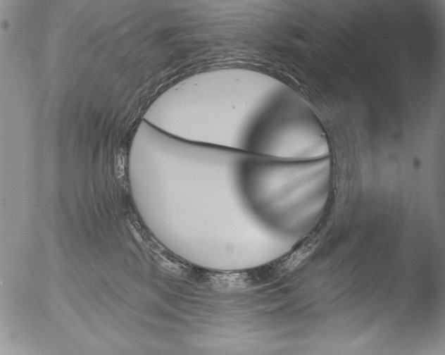 X0000051860281200507081830