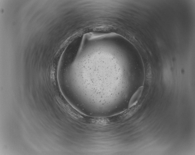 X0000051860282200507081830