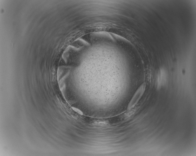 X0000051860283200507081830