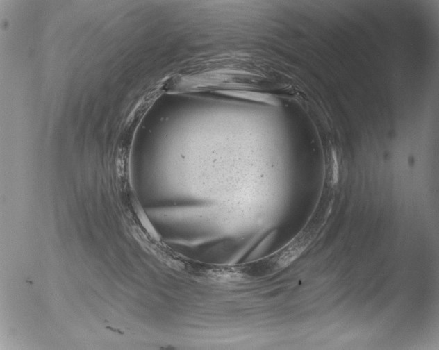 X0000051860284200507081830