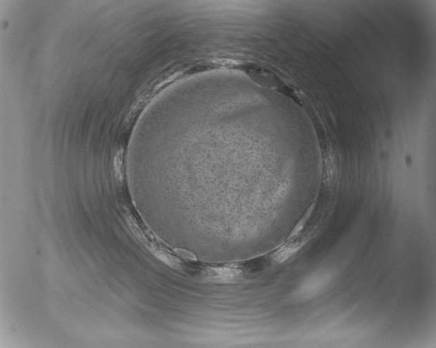 X0000051860286200507081830