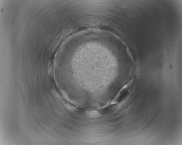 X0000051860287200507081830